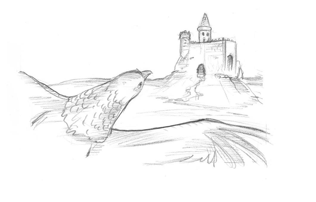 Illustration : Flèche l'aigle survole une rivière, au loin le château de l'ogre Nestor